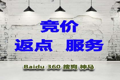 SEM推广优化中的关键词策略——以某品牌为例